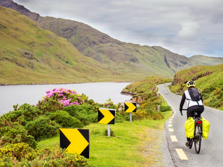 A Landscape of Contrasts​