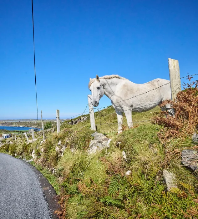 Leenaun to Clifden